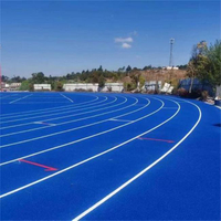 //rjrorwxhnmiplm5m-static.micyjz.com/cloud/piBpnKppliSRmlrinrqkkp/Blue-EPDM-rubber-track.jpeg